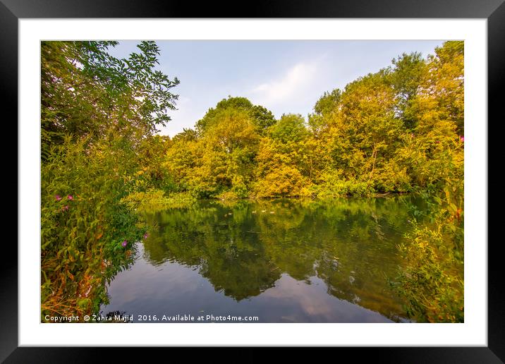 Reflection in Manor Park Lake Framed Mounted Print by Zahra Majid
