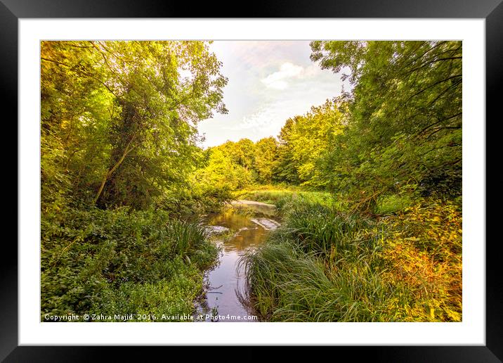 Shades of Green in Manor Park West Malling Kent Framed Mounted Print by Zahra Majid