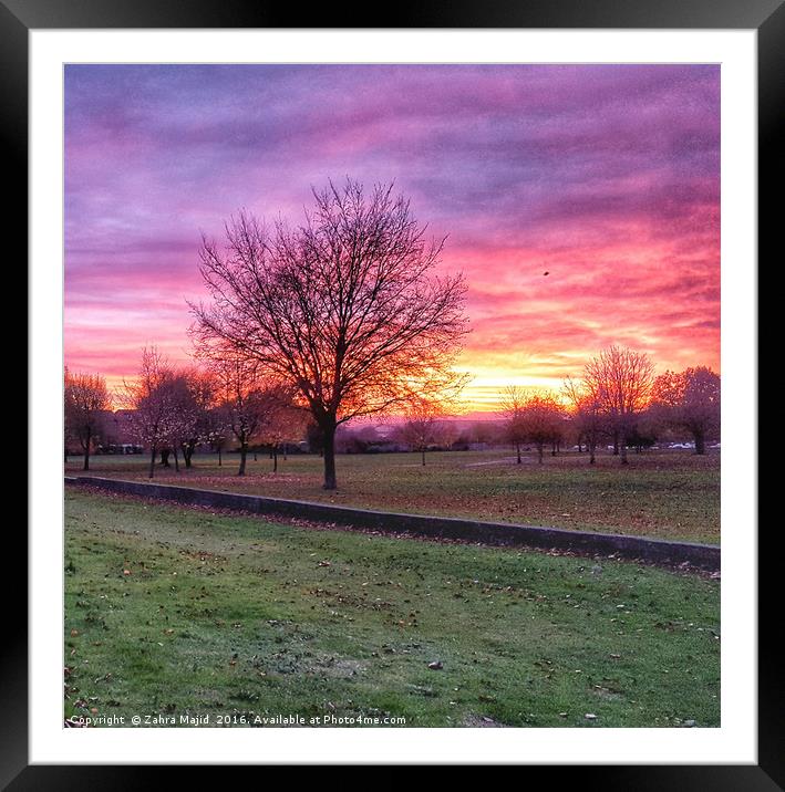 A Fine Fuscia Sunset Framed Mounted Print by Zahra Majid