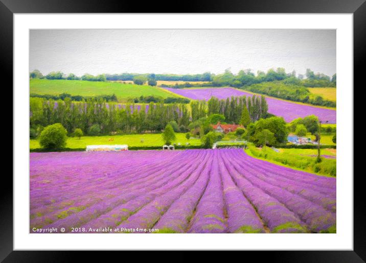 Kentish Lavender Art Framed Mounted Print by Zahra Majid