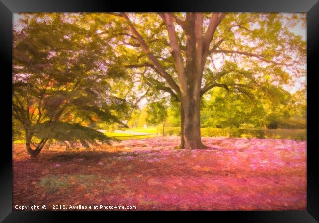 Pink Leaves in a Forest Framed Print by Zahra Majid