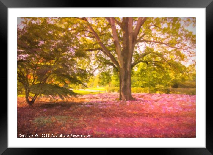 Pink Leaves in a Forest Framed Mounted Print by Zahra Majid