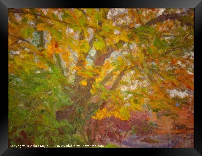 Autumn Foliage Splash Framed Print by Zahra Majid