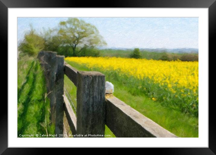 Fields of Gold Framed Mounted Print by Zahra Majid