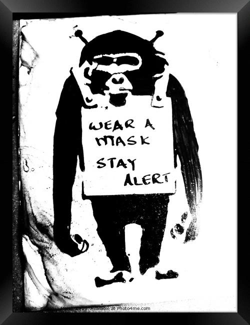 Chimpanzee with advice Covid 19 Framed Print by Zahra Majid