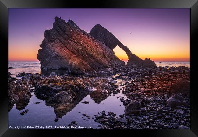Bow Fiddle Rock at Dawn Framed Print by Peter O'Reilly