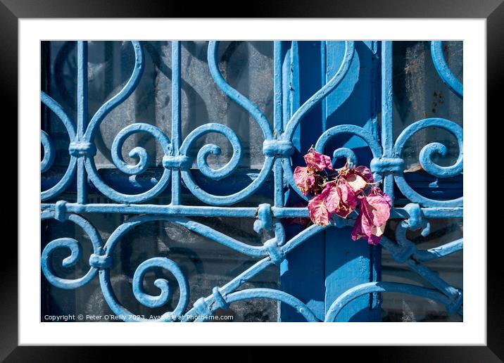 The Blue Gate Framed Mounted Print by Peter O'Reilly