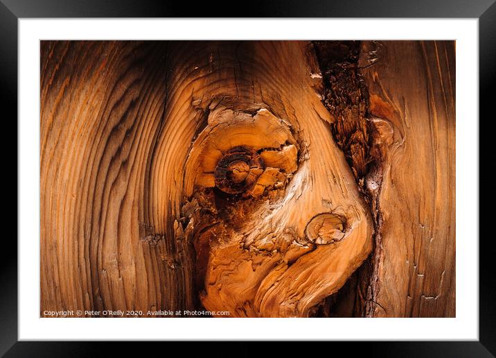 Knot Framed Mounted Print by Peter O'Reilly