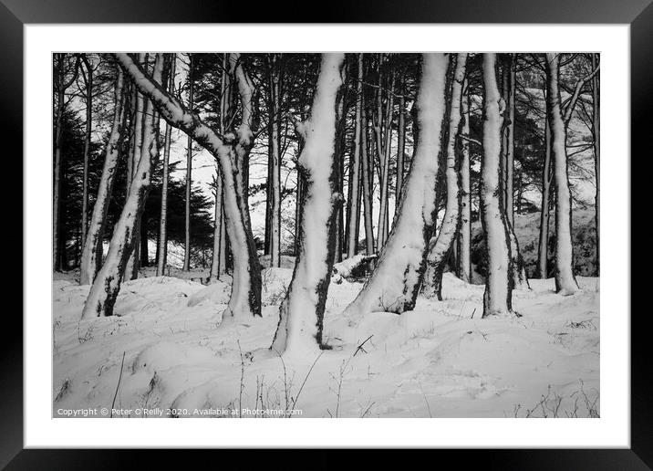 Snow Trees I Framed Mounted Print by Peter O'Reilly