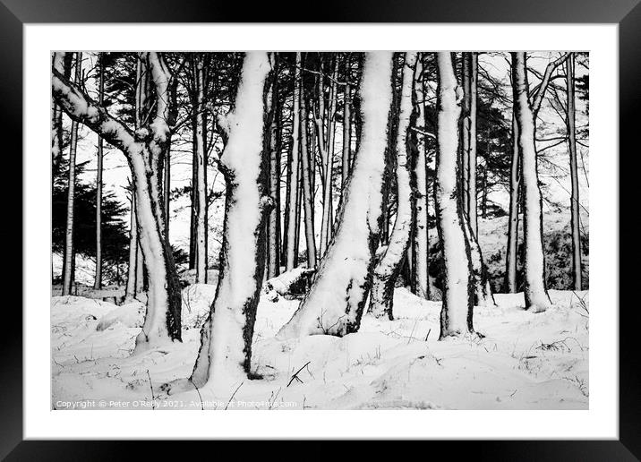 Snow Trees V Framed Mounted Print by Peter O'Reilly