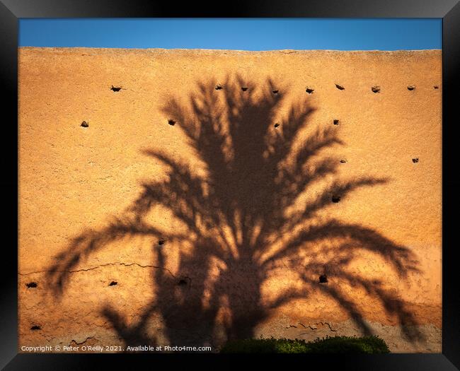 Palm Shadow Framed Print by Peter O'Reilly