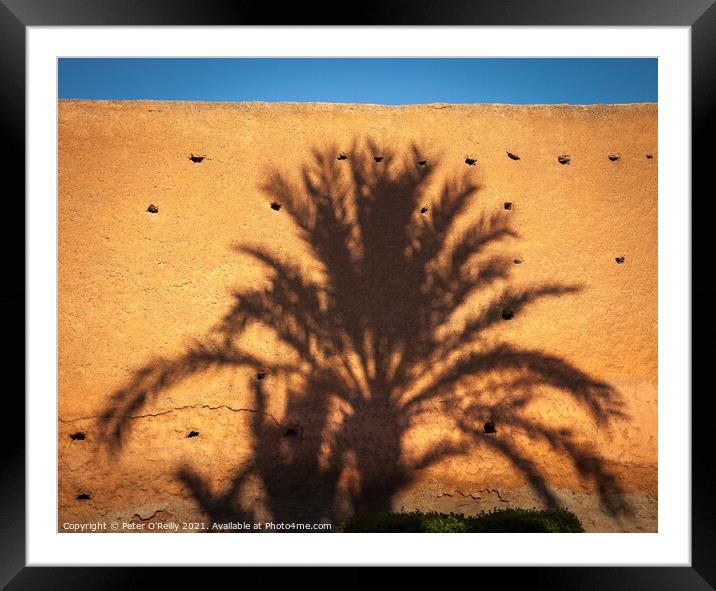 Palm Shadow Framed Mounted Print by Peter O'Reilly