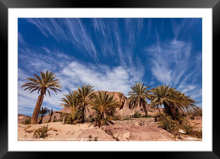 Finnt Oasis, Morocco Framed Mounted Print by Peter O'Reilly