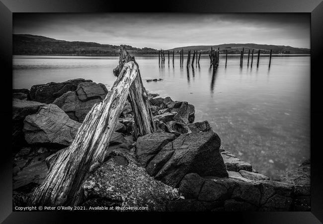 Remains of the Pier Framed Print by Peter O'Reilly