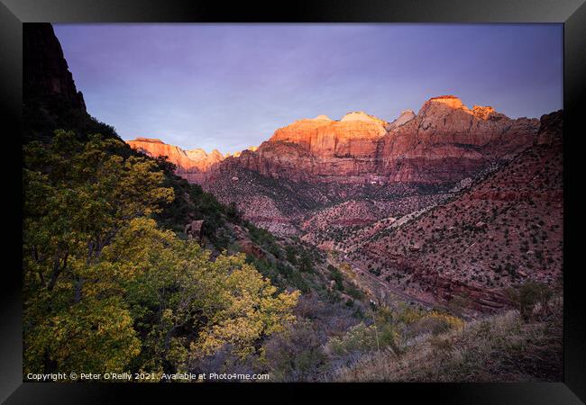 Sunrise on the Great Streaked Wall and the Sentinel, Zion Nation Framed Print by Peter O'Reilly