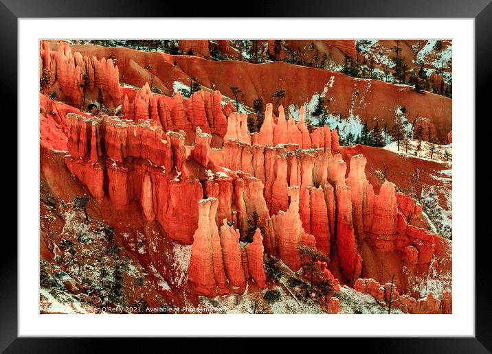 Sunrise at Bryce Canyon #3 Framed Mounted Print by Peter O'Reilly