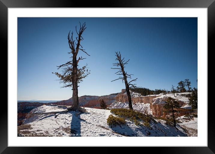 Hanging On Framed Mounted Print by Peter O'Reilly