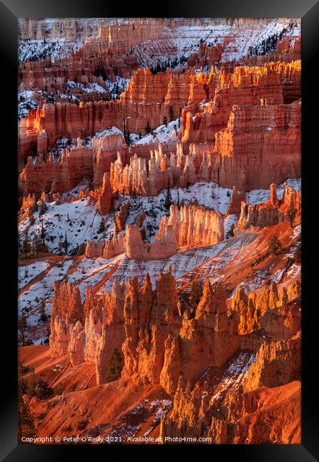Morning Light, Bryce Canyon Framed Print by Peter O'Reilly