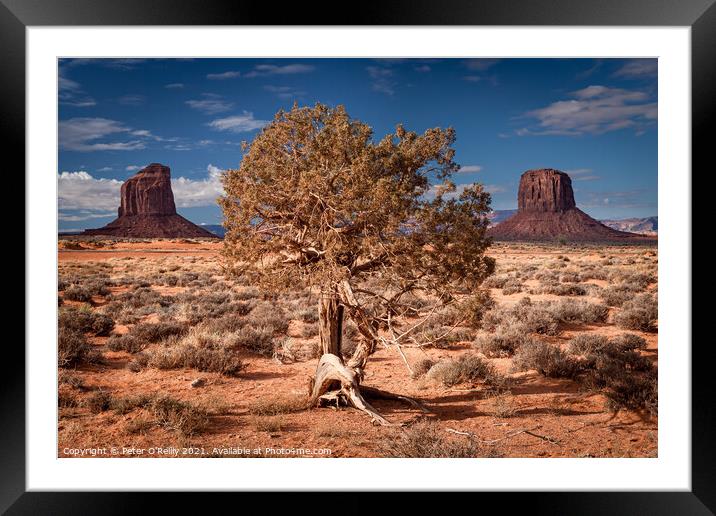 Monument Valley #2 Framed Mounted Print by Peter O'Reilly