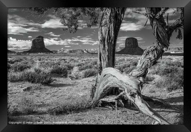 Monument Valley #3 Framed Print by Peter O'Reilly
