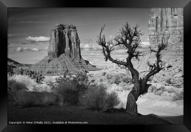 Monument Valley #9 Framed Print by Peter O'Reilly