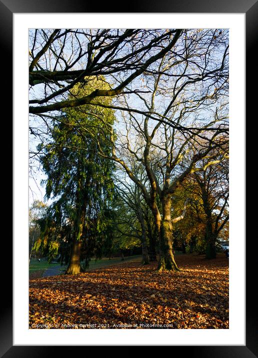 Autumn scenes, Merthyr Tydfil, South Wales, UK. Framed Mounted Print by Andrew Bartlett
