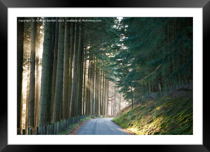 Sun shines through a forest at Elan Valley, Mid Wa Framed Mounted Print by Andrew Bartlett