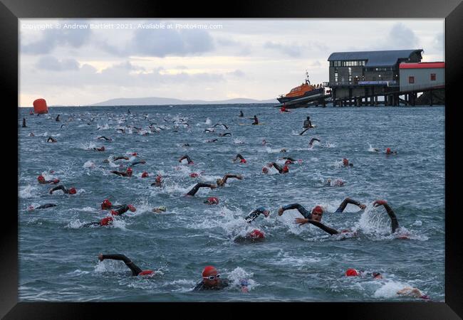 Ironman Wales swim at Tenby, Pembrokeshire, UK Framed Print by Andrew Bartlett