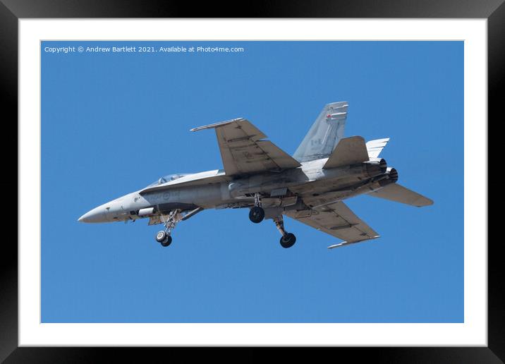 Royal Canadian Air Force, CF18 Hornet Framed Mounted Print by Andrew Bartlett