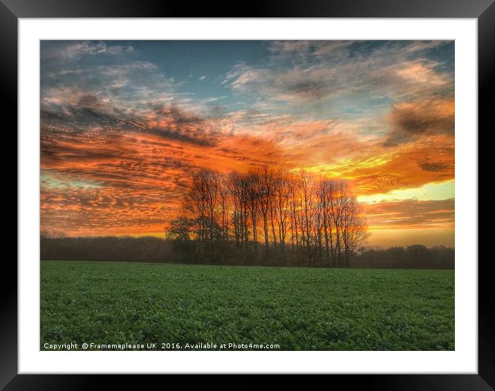 Morghew park farm Tenterden  Framed Mounted Print by Framemeplease UK