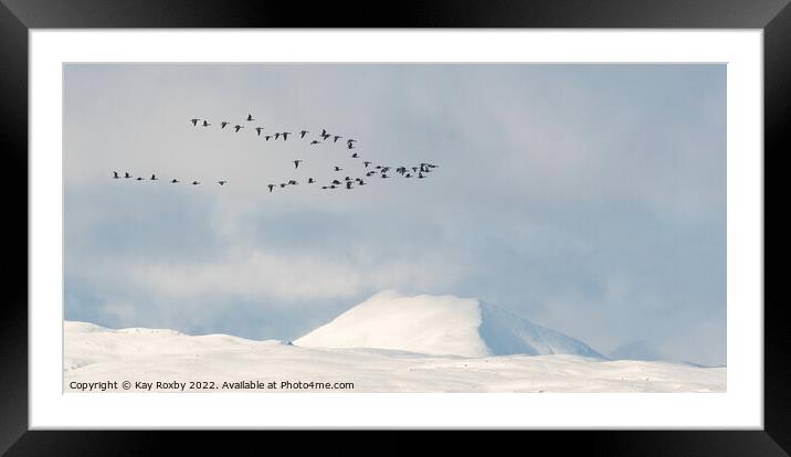 Greylag geese passing snow covered Ben Lomond - Scotland Framed Mounted Print by Kay Roxby