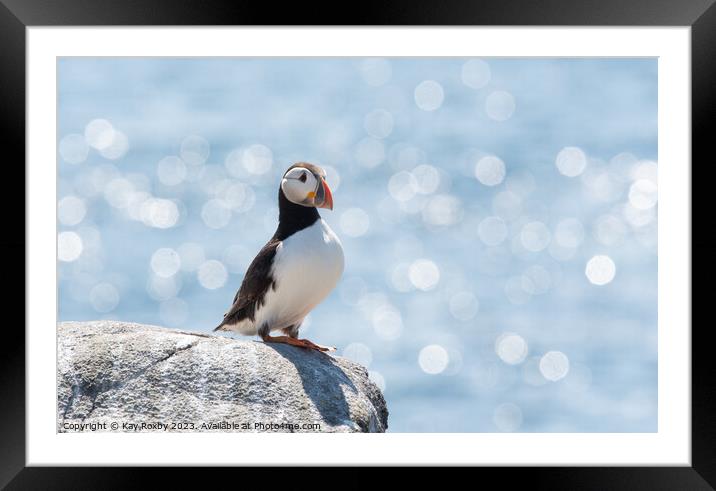 Peaceful Puffin  Framed Mounted Print by Kay Roxby