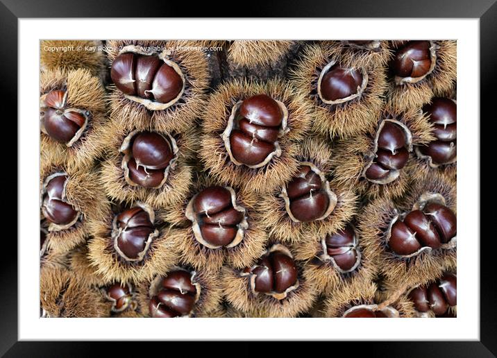 Sweet Chestnuts Framed Mounted Print by Kay Roxby