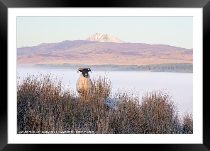 Ben Lomond cloud inversion Framed Mounted Print by Kay Roxby