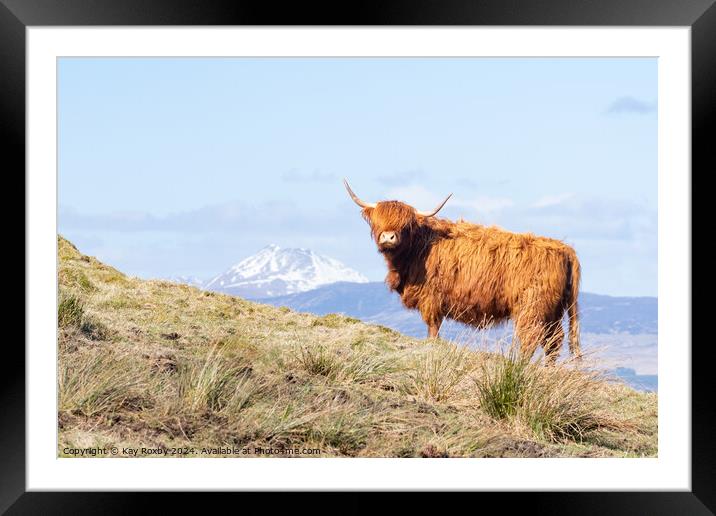 Scotland Framed Mounted Print by Kay Roxby