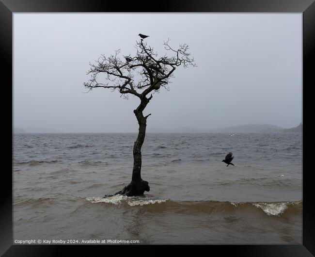 Moody Loch Lomond 1 Framed Print by Kay Roxby