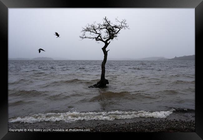 Moody Loch Lomond 3 Framed Print by Kay Roxby