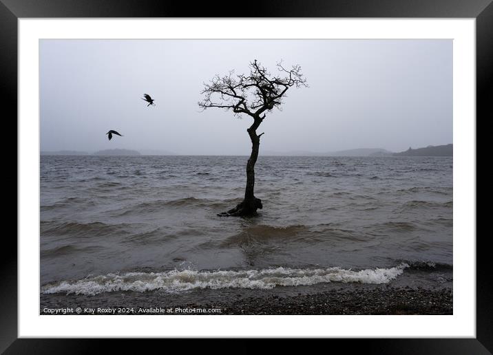 Moody Loch Lomond 3 Framed Mounted Print by Kay Roxby