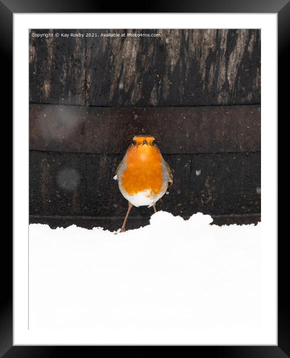 Snowy robin in Scotland Framed Mounted Print by Kay Roxby