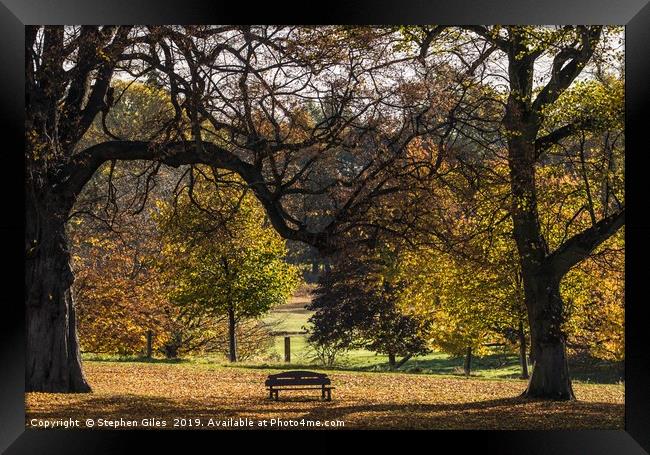 A seat with a view Framed Print by Stephen Giles