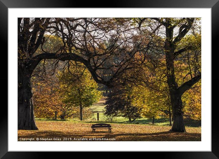 A seat with a view Framed Mounted Print by Stephen Giles