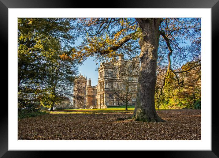 Wollaton hall Framed Mounted Print by Stephen Giles