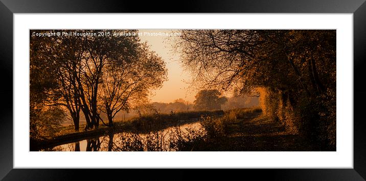  Autumn Gold Framed Mounted Print by Phil Houghton