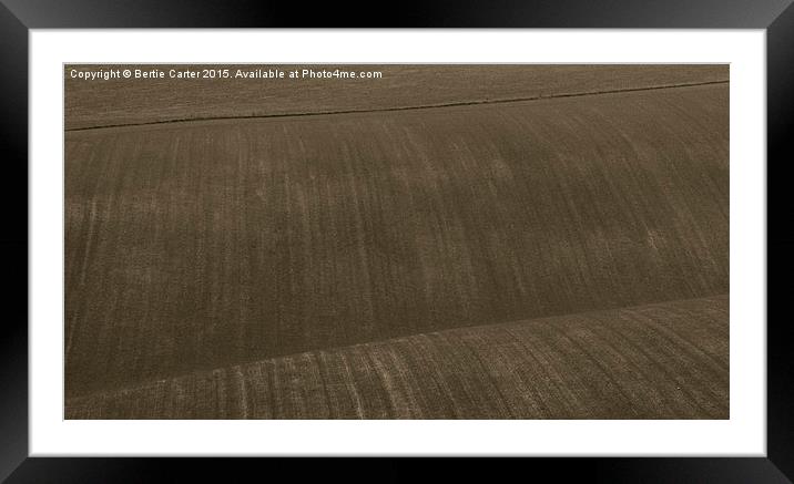 Rolling brown hills Framed Mounted Print by Bertie Carter