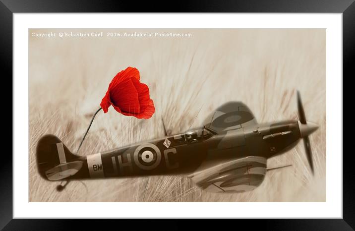 Remembrance field  Framed Mounted Print by Sebastien Coell