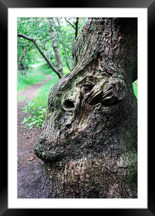  Face in the Bark Framed Mounted Print by Becky shorting