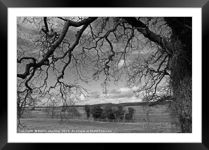 Norfolk fields Framed Mounted Print by Becky shorting