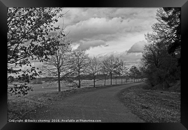 Sam's Walk Framed Print by Becky shorting