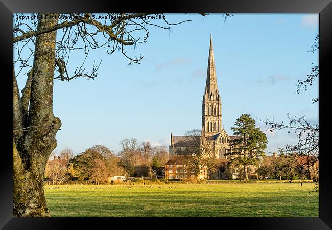 cathedral View across the water meadows Framed Print by Paul Chambers