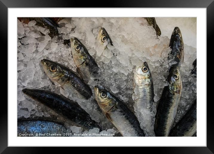 Sardines Framed Mounted Print by Paul Chambers